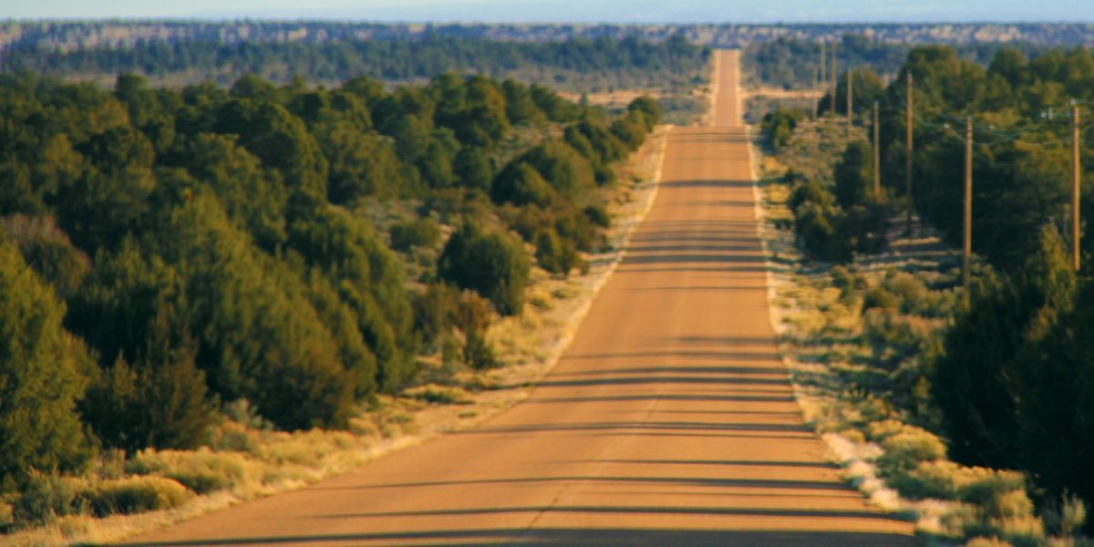 The Winding Path