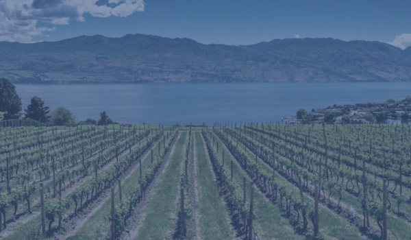 (We still can't) Buy Canadian (wine).