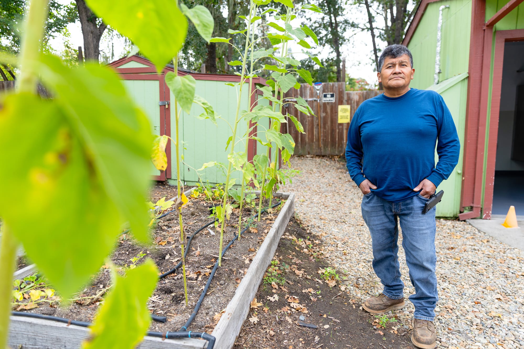 a middle-aged Latino man in a blue shirt and jeans stands in a yard next to planter box 