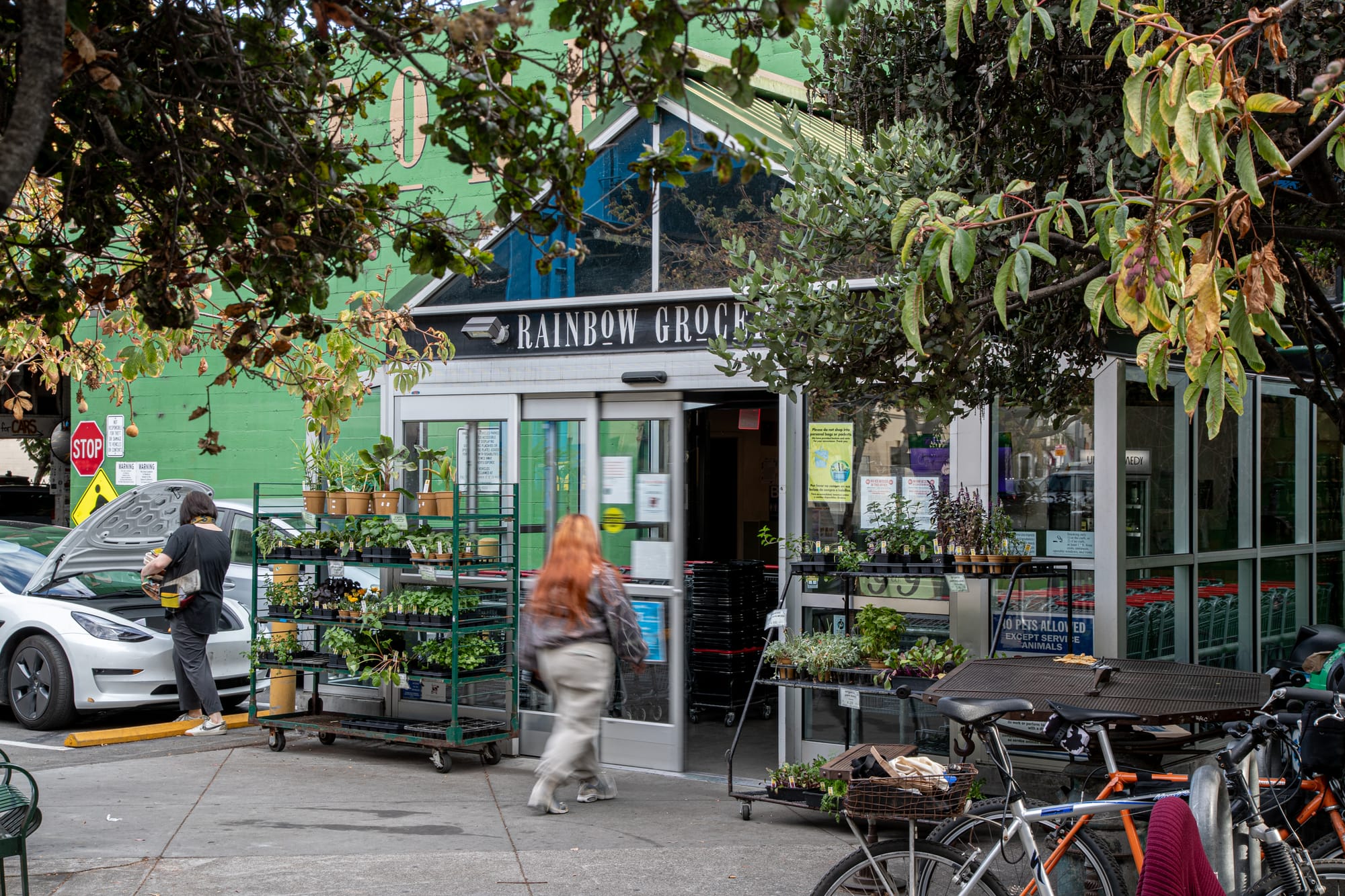 a person is seen walking into a store with plants out front