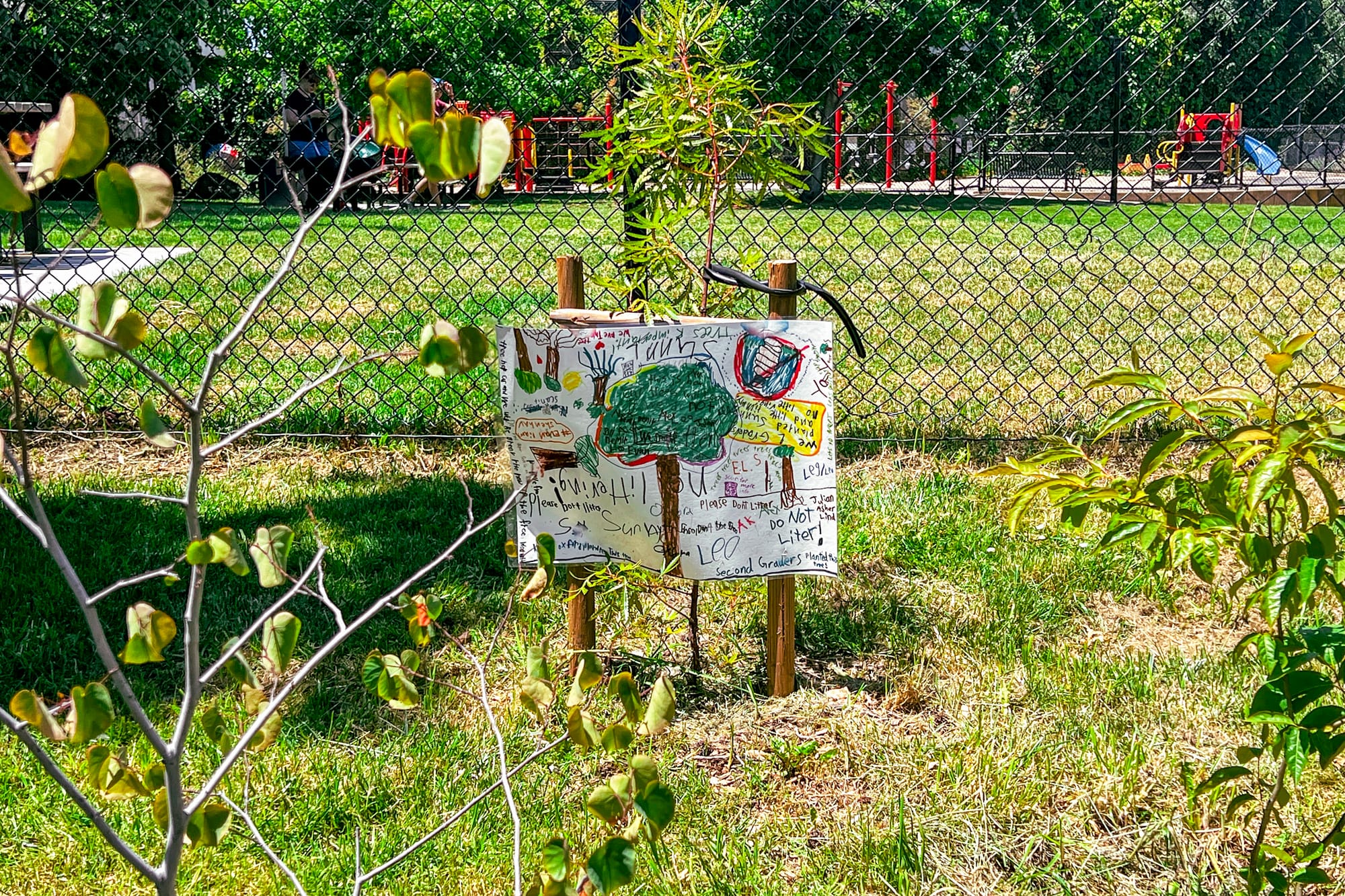 A handmade sign depicting a tree and text, including "no littering!" written upside-down, hanging on a post holding up a sapling in a public grassy space.