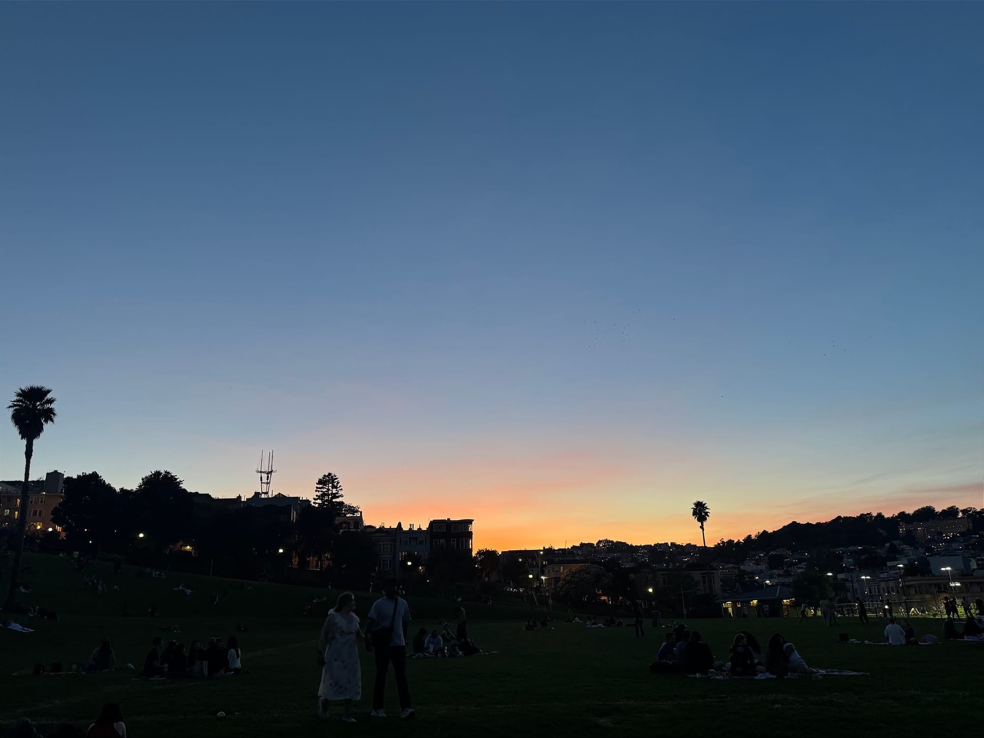 Dolores Park at sunset