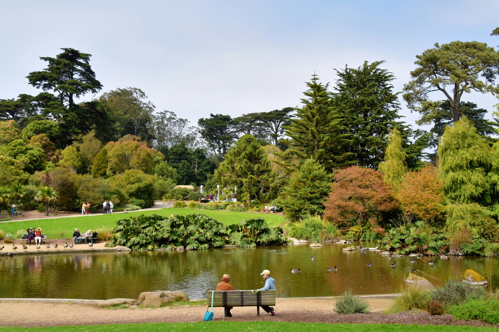 people sit on a bench by a lake in Golden Gate Park