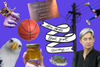 A composite graphic showing a tattoo gun, bald eagle, honey, basketball and other things and text that says "the ones that got away"