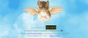 An illustration of a cat with angel wings against a blue and white cloud background