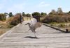 A black-crowned night heron marches across a wooden dock 