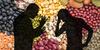 Silhouettes of two masculine figures arguing, juxtaposed over a photograph of a variety of dried beans.