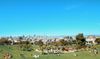 Dolores Park in San Francisco with a blue sky