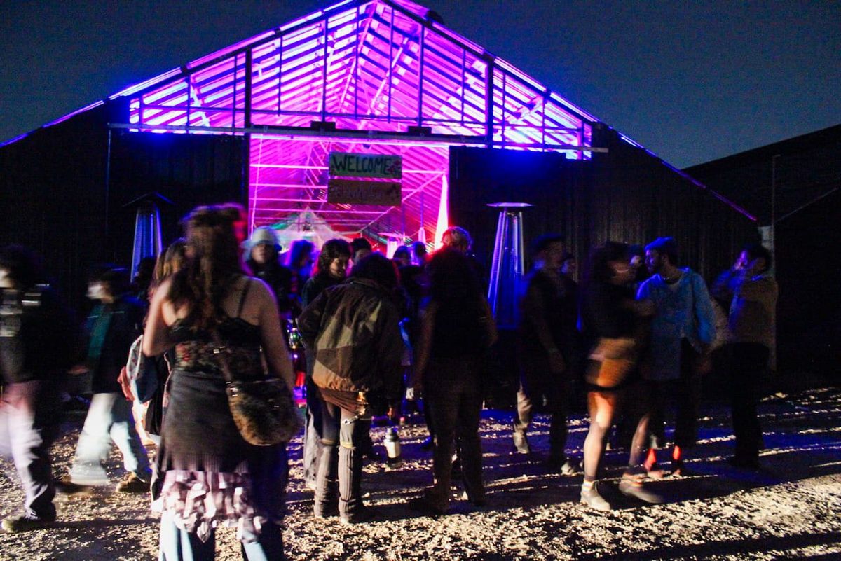 I’m Just Here for the Plants: An Inside Look at a Greenhouse Rave