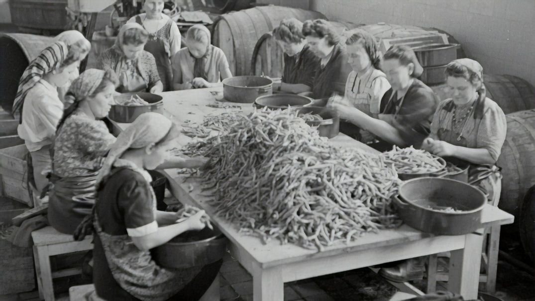 Successful Careers After An Economic Collapse