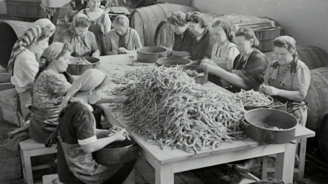 Image of: Successful Careers After An Economic Collapse