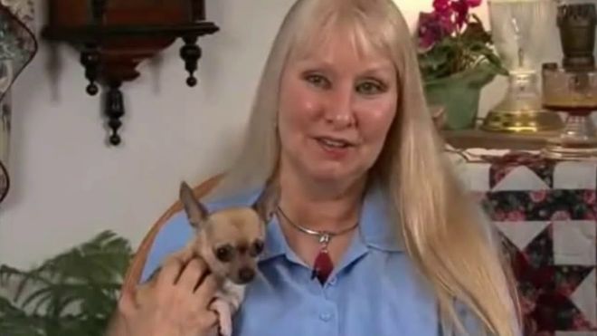 Image of: Near Death Experience Depicts Civil War & Collapse