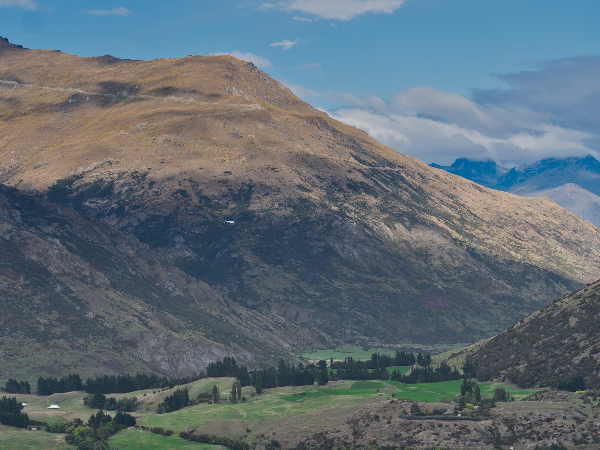 A New Zealand Adventure Begins