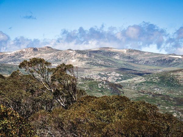 Older than Kosciuszko