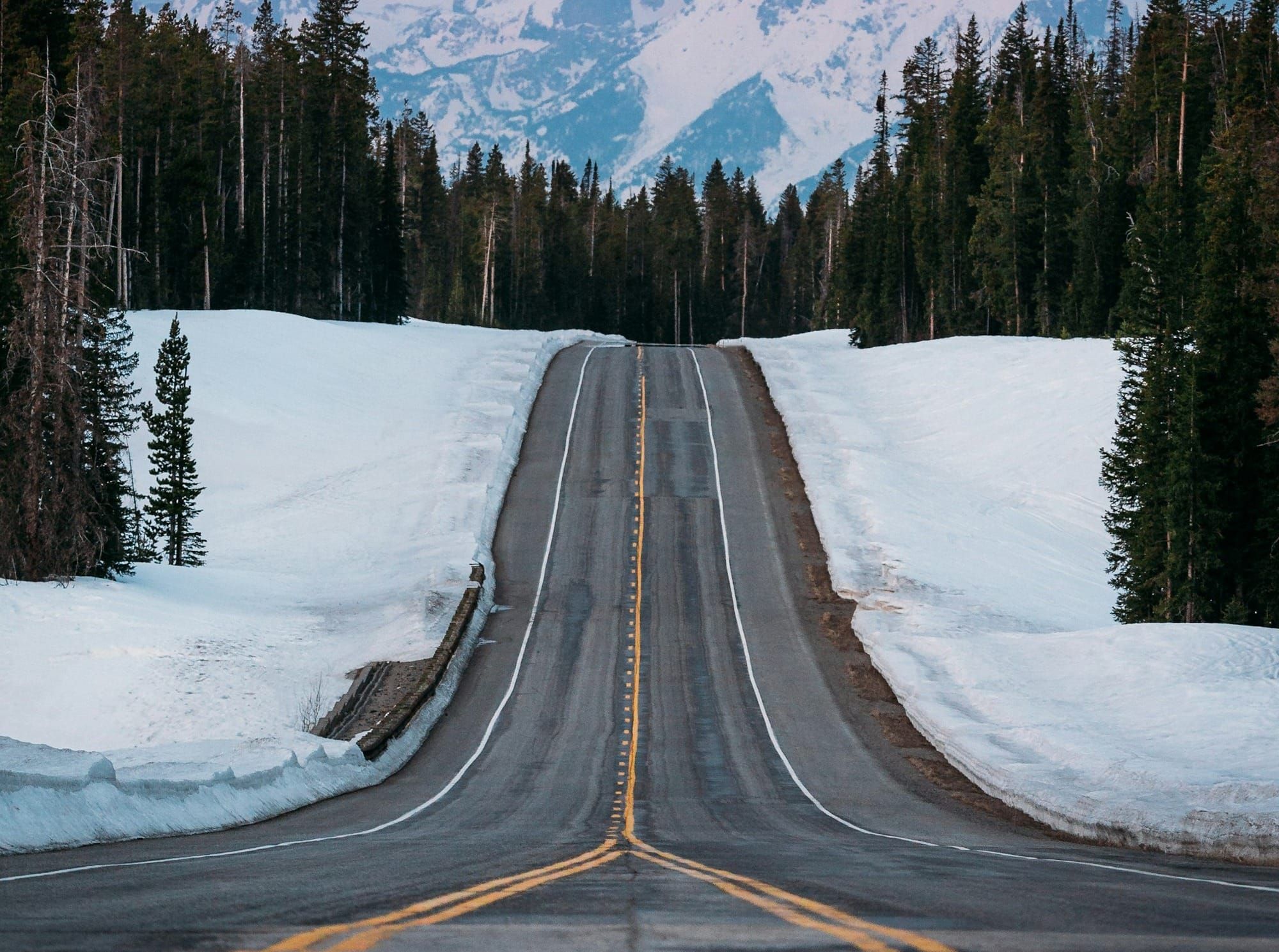 Angular SSR - Platform Provider Pattern