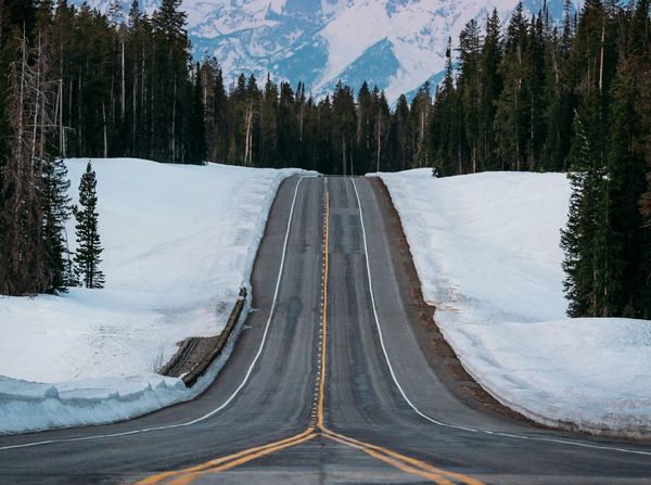 Angular SSR - Platform Provider Pattern