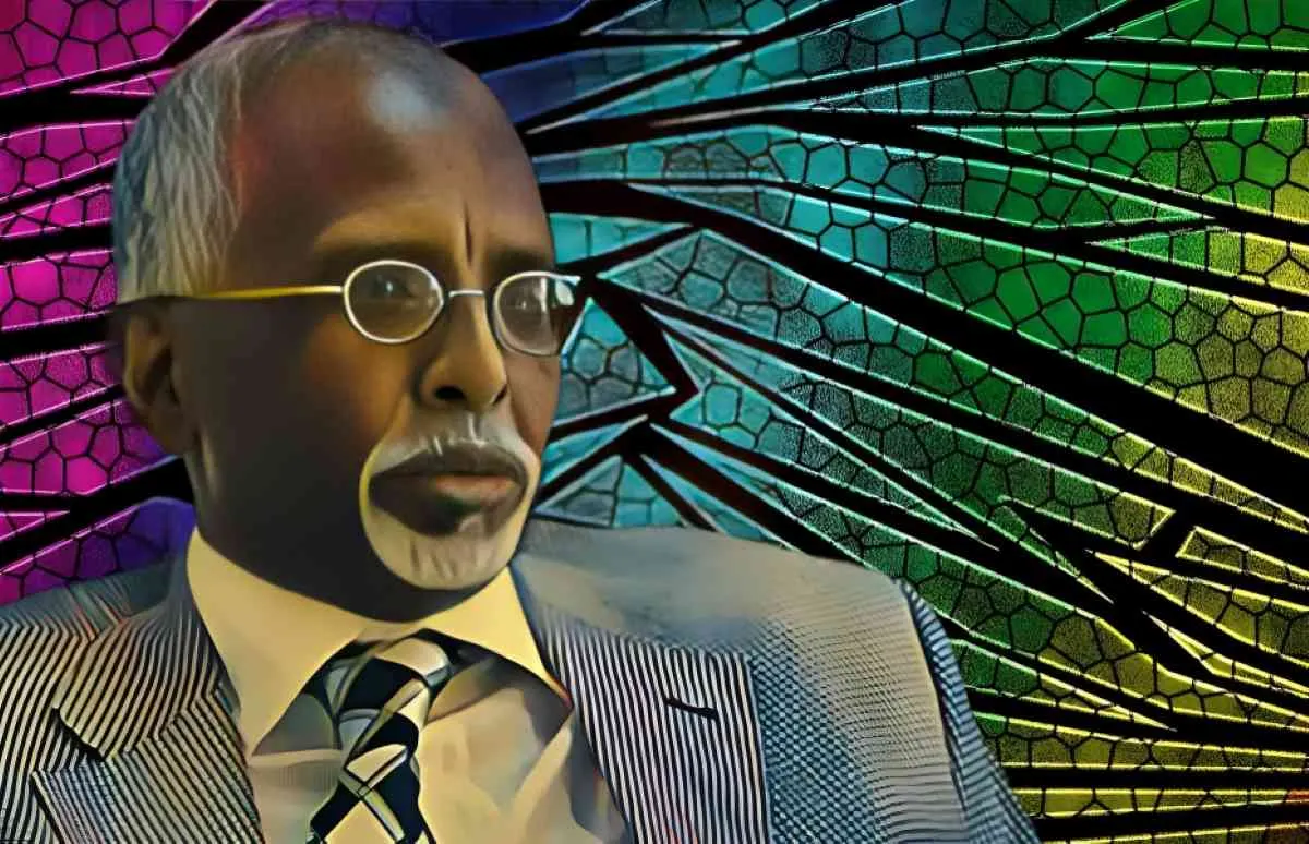 Kenyan businessman Ahmed Hashi