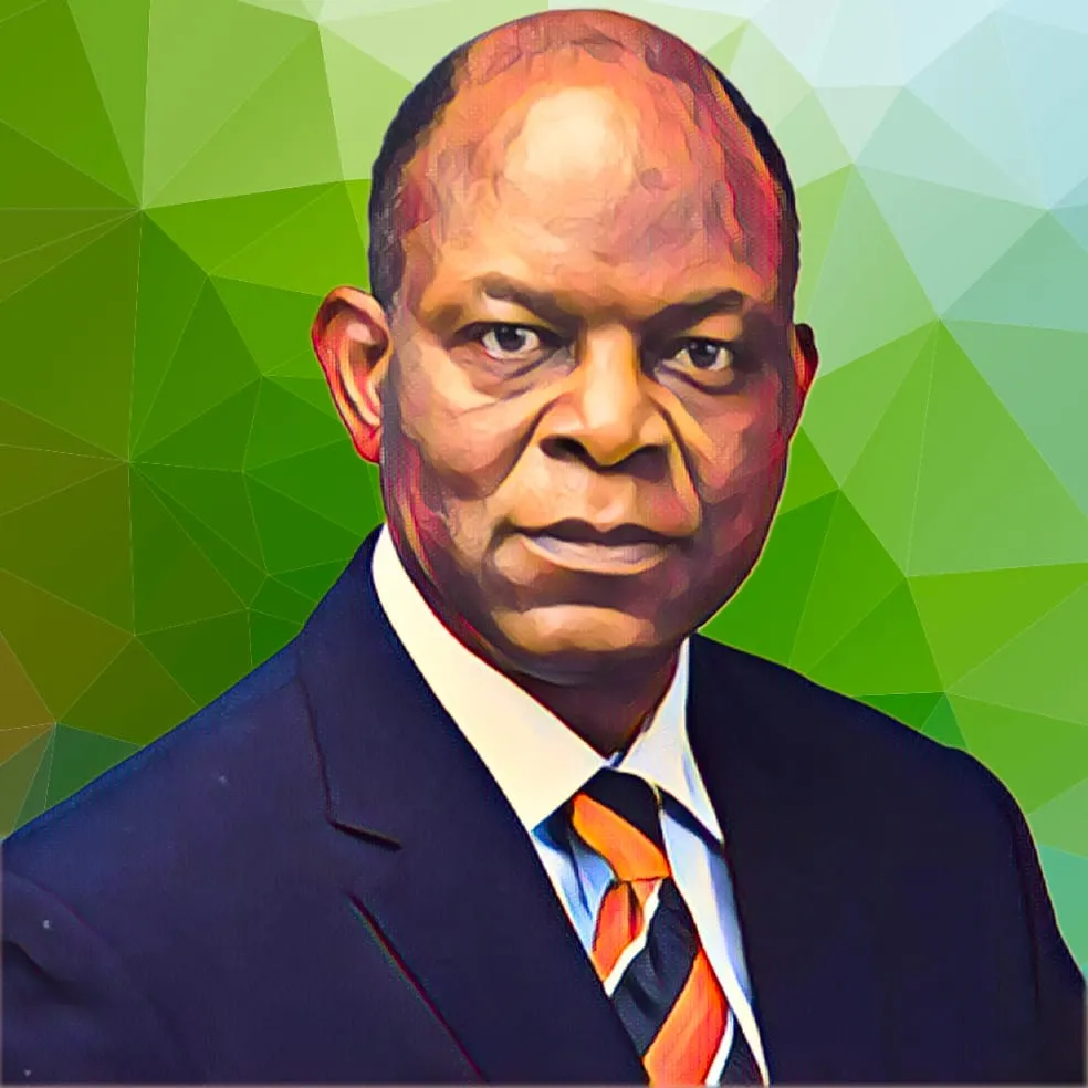 Meet Olubunmi Peters, Nigerian businessman behind the $250 million deal for control of Eko DisCo