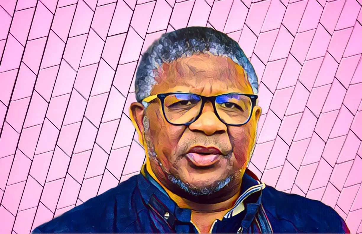 South Africa needs more black billionaires, ANC's Fikile Mbalula says