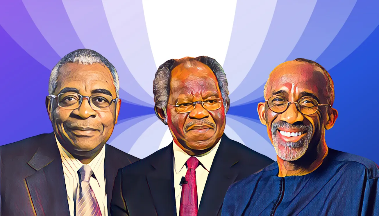 Nigerian billionaires Bayo Ogunlesi, TY Danjuma and Hakeem Belo-Osagie lose out on TotalEnergies’ 10% Nigeria stake