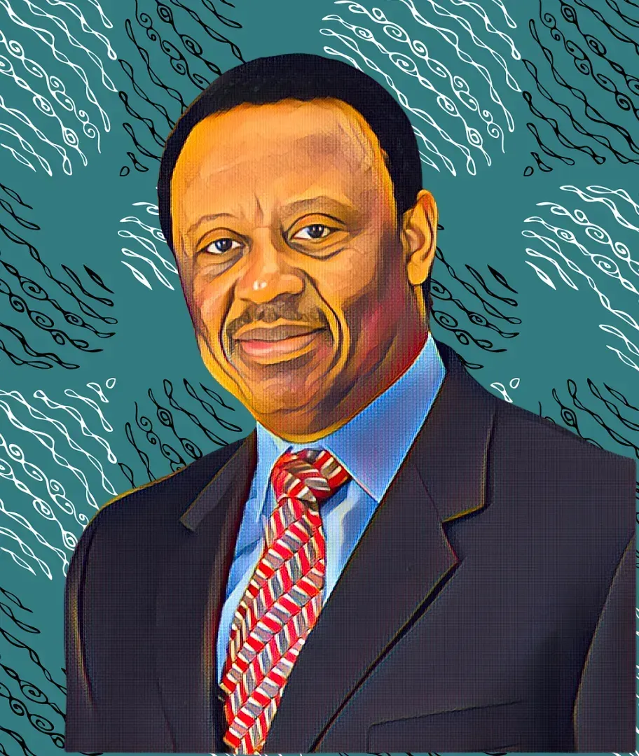 Nigerian oil tycoon Tunde Afolabi is building a gas field to feed Nigeria LNG's Train 7