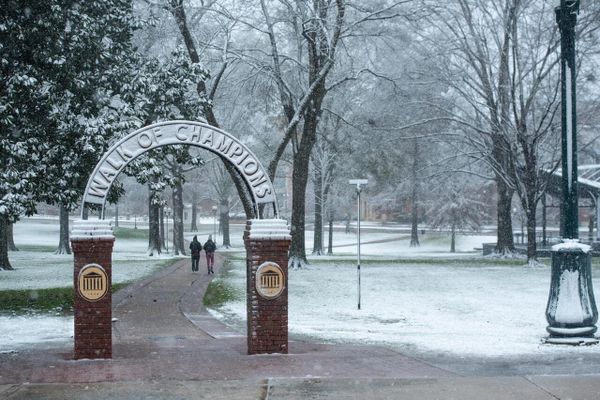 The University of Mississippi Grove is shown under a light dusting of snow.