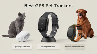 Best GPS Pet Trackers for Outdoor Adventures in 2026!
