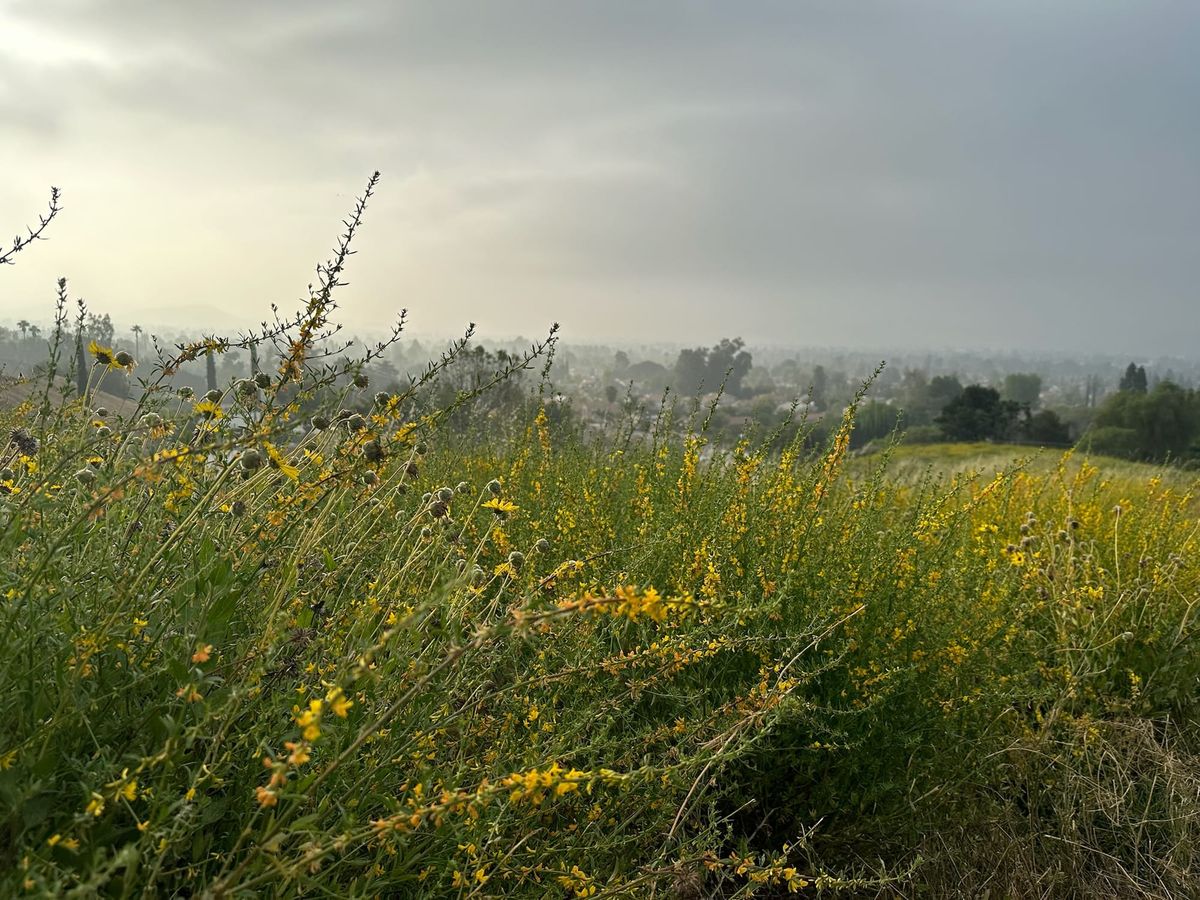 About Contemplative Enrichment