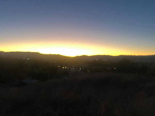 Dawn Chorus