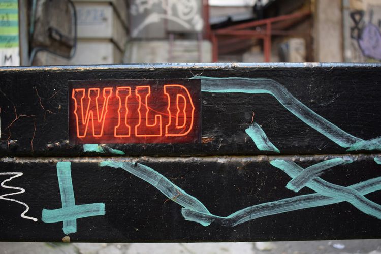 A red neon sign reading 'WILD' mounted on a black, weathered surface with teal blue painted arrows and graffiti marks around it.