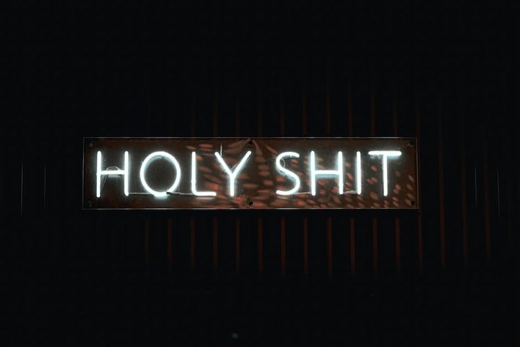 A rusted metal sign reading "HOLY SHIT" in white neon letters, mounted on a dark textured wall.