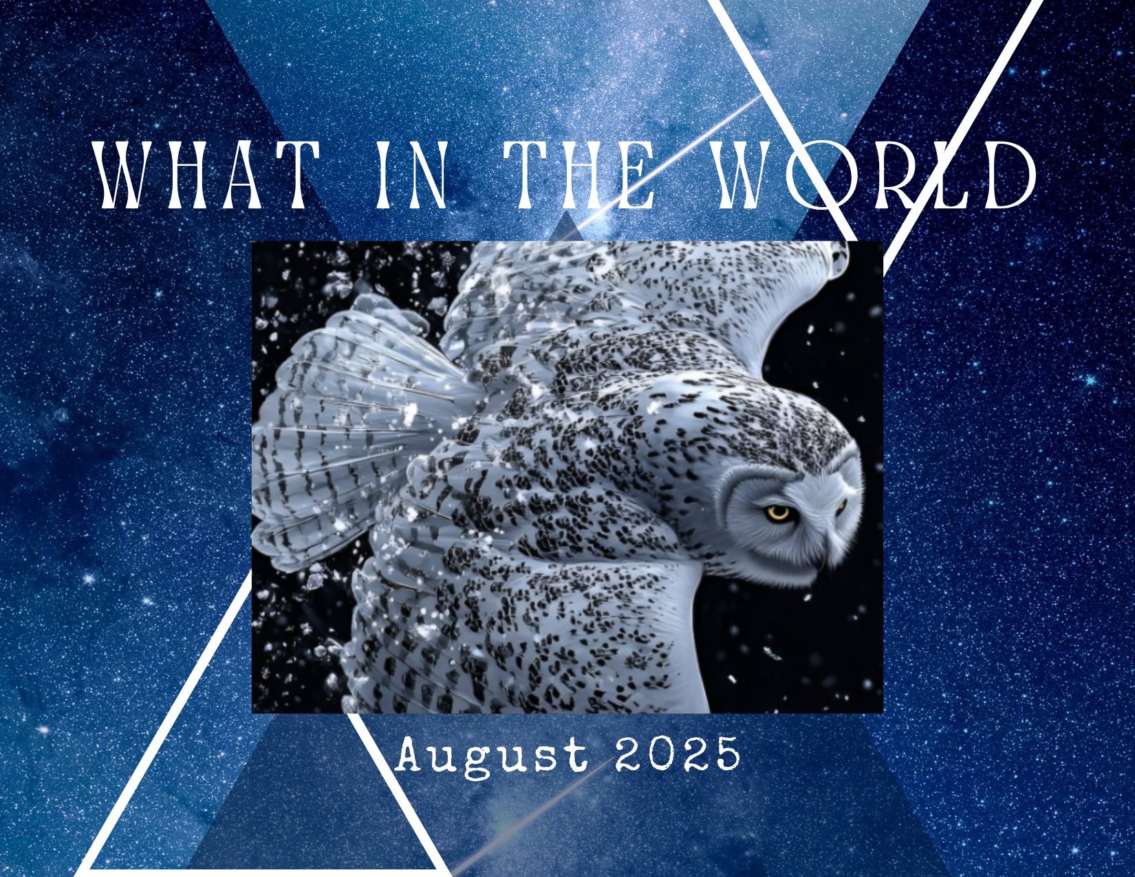 What in the World! August 2025