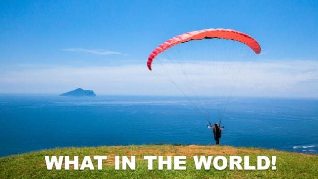 What in the World! Oct 2024