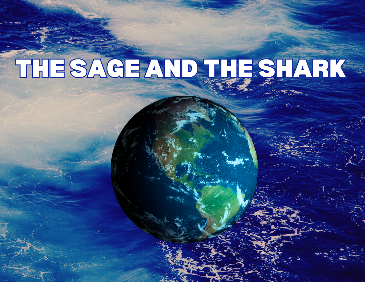 The Sage and the Shark