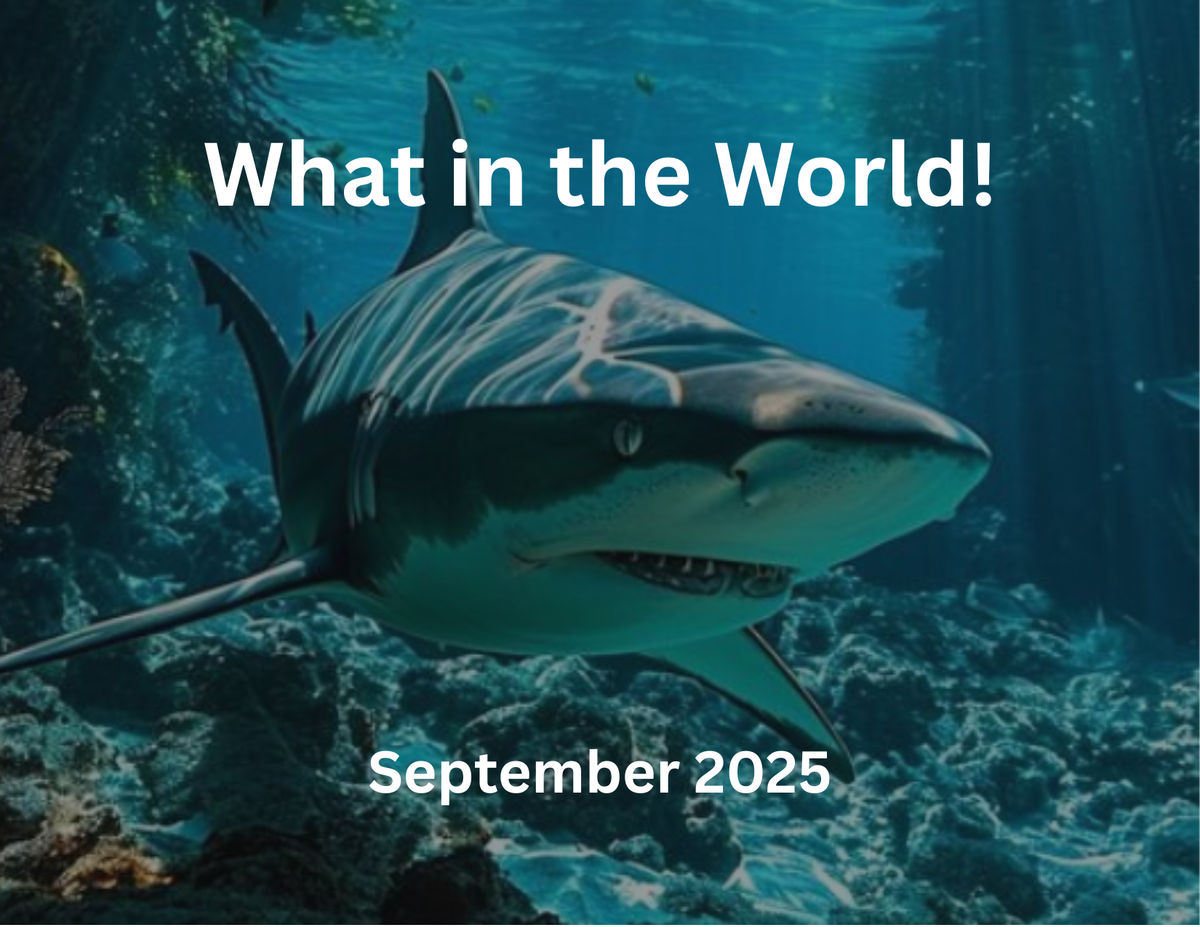 What in the World! September 2025