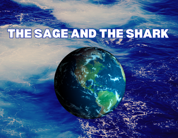 The Sage and the Shark