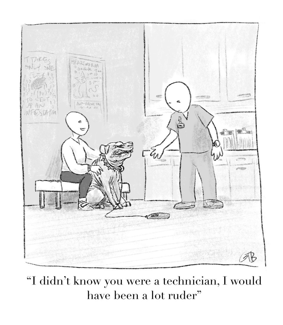 Nonviolent Communication for Veterinarians