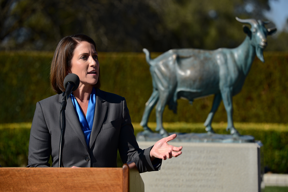 Petcare Company Acquires Rights to Veterinarian’s Oath, Raising Ethical Concerns