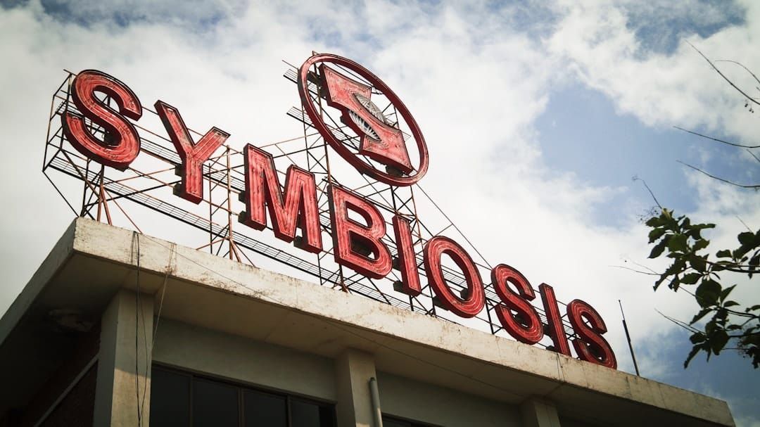 Symbiosis Bridge vs Teleswap: Best Bitcoin Bridge 2026 - TeleSwap Academy