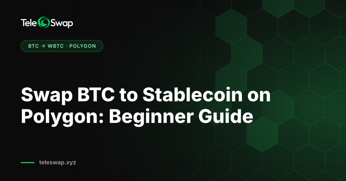 Swap BTC to Stablecoin on Polygon: 2026 Beginner Guide