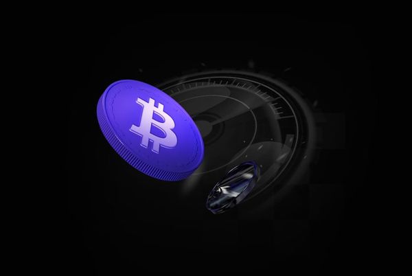 Swap BTC Onchain Without Gas Fees: A Beginner's Guide
