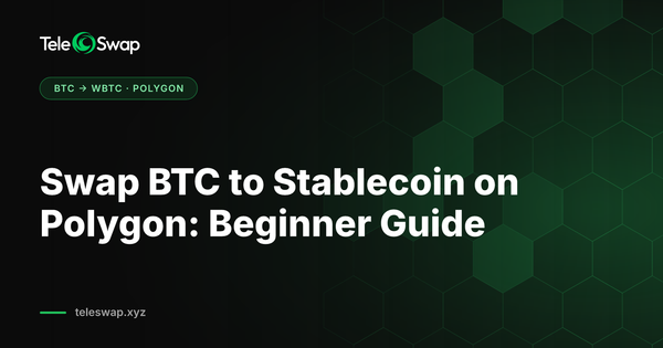 Swap BTC to Stablecoin on Polygon: 2026 Beginner Guide