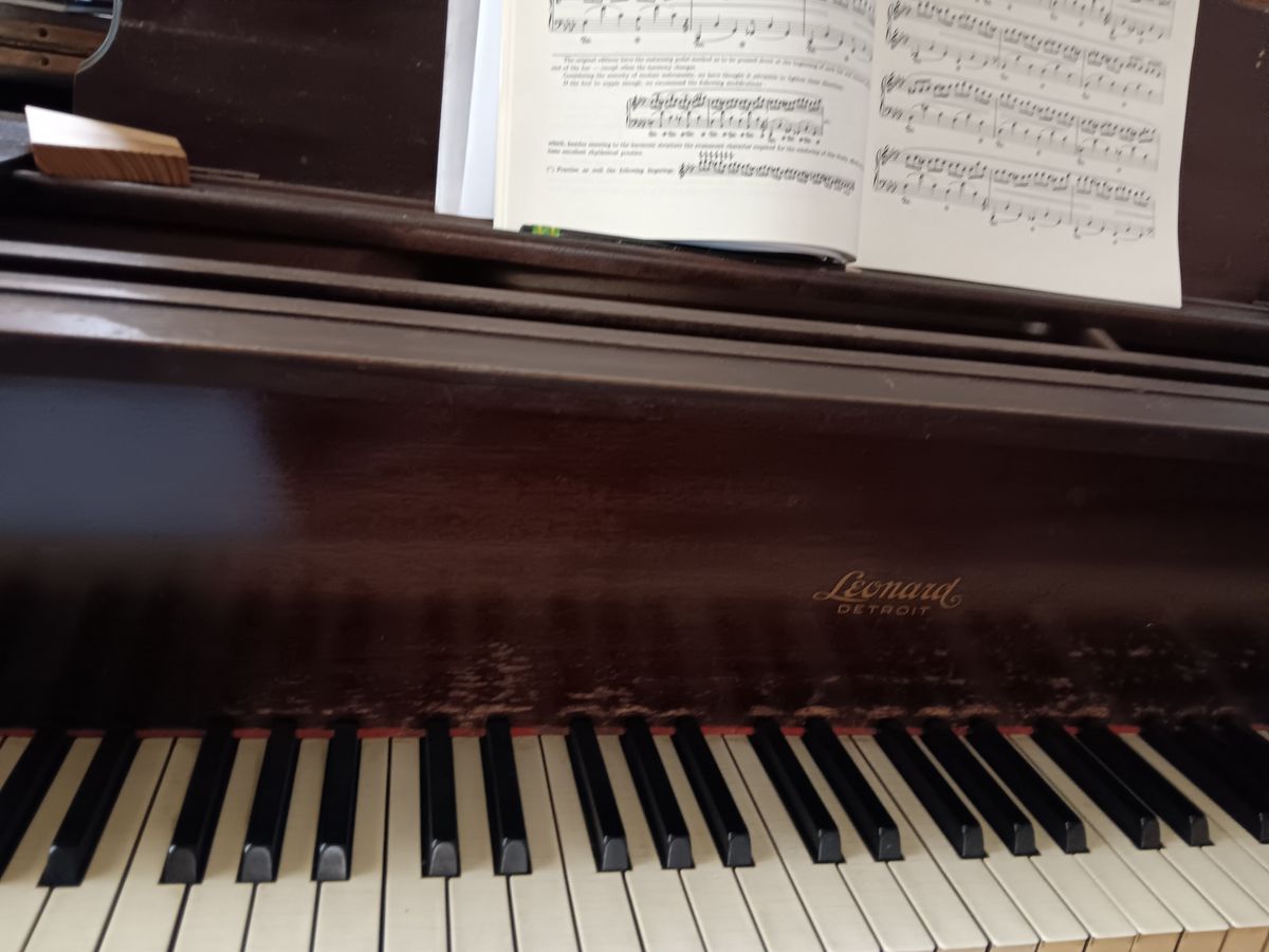 Bring your instrument to my workshop