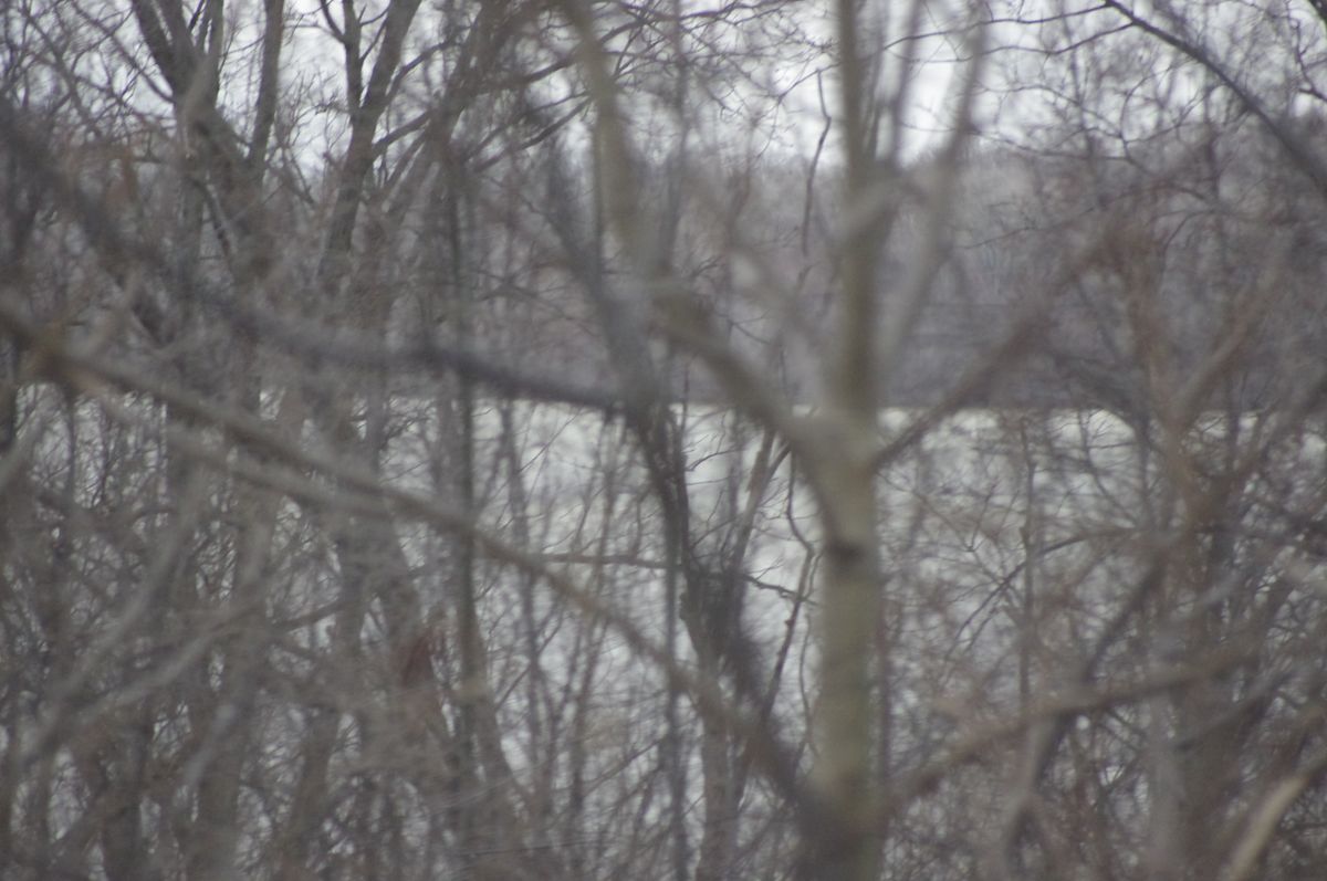 Spring arrives in 58 days.