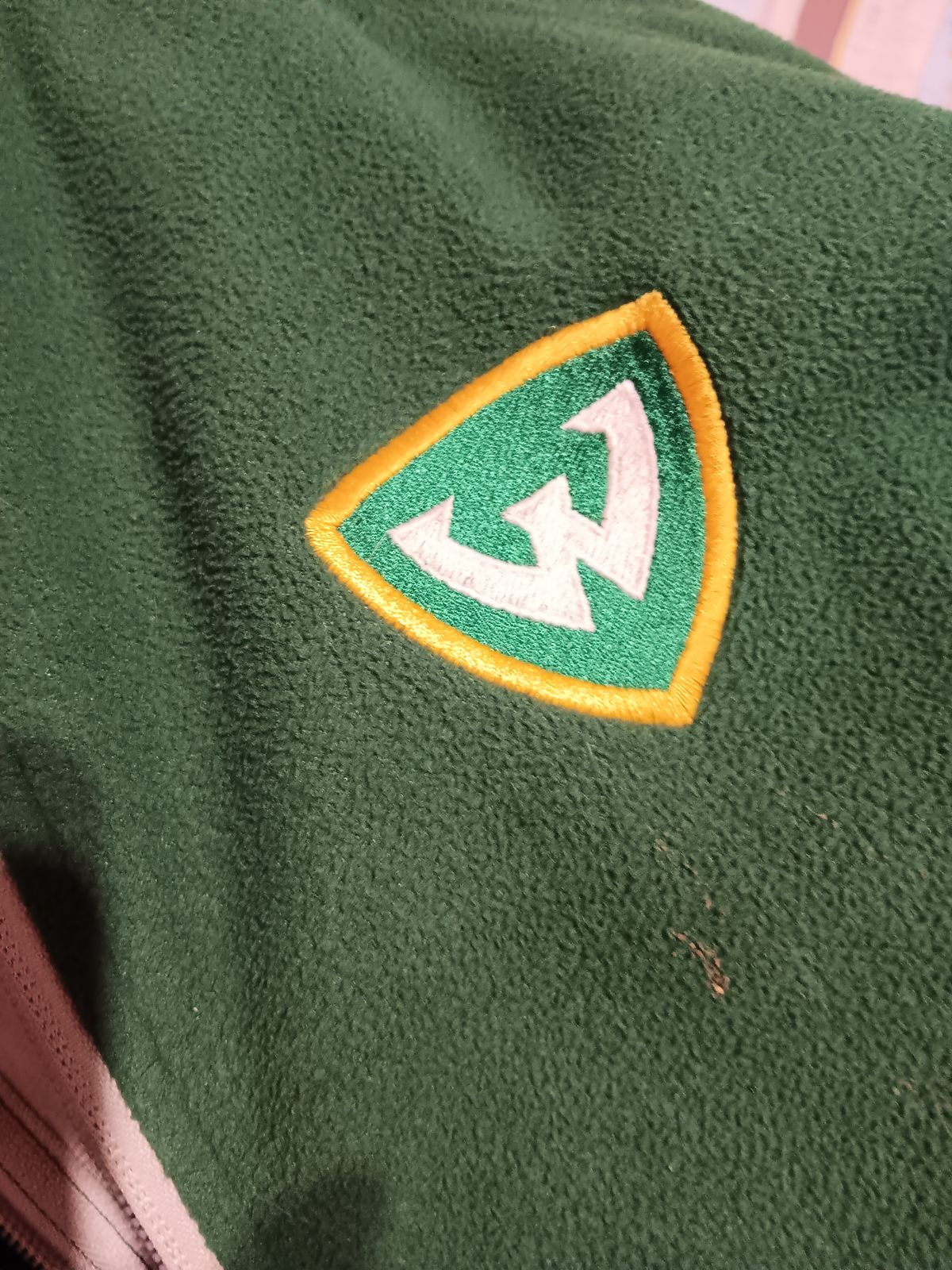 Noel Night on WSU campus