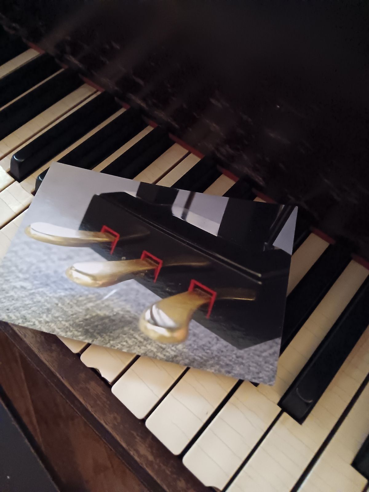 Curriculum-specific vs Curriculum-agnostic