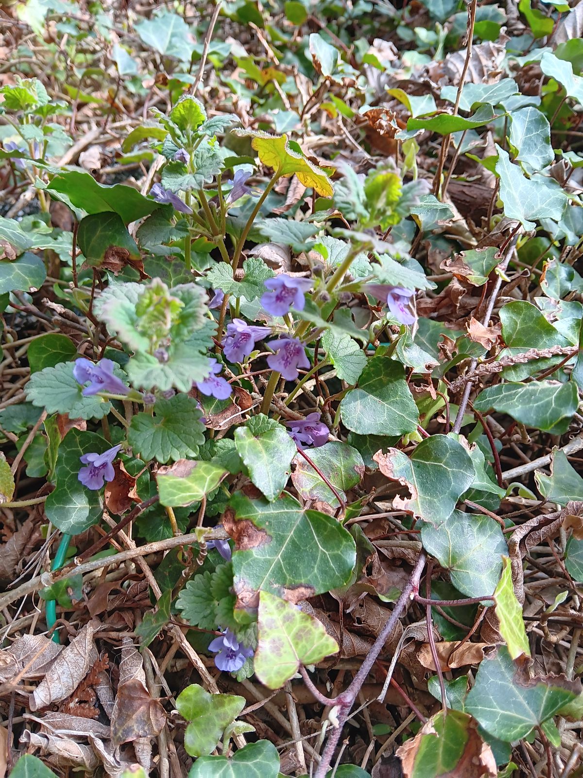 Pause and see how you've changed.