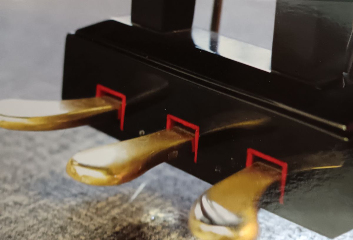 Field trip to the museum (video)