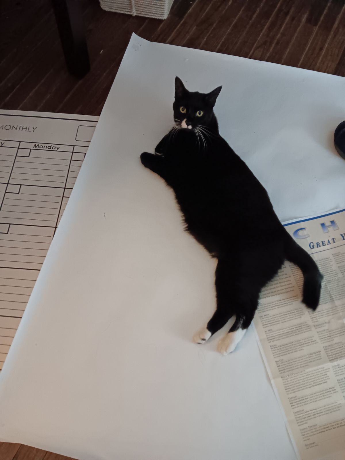 Calendars are great.