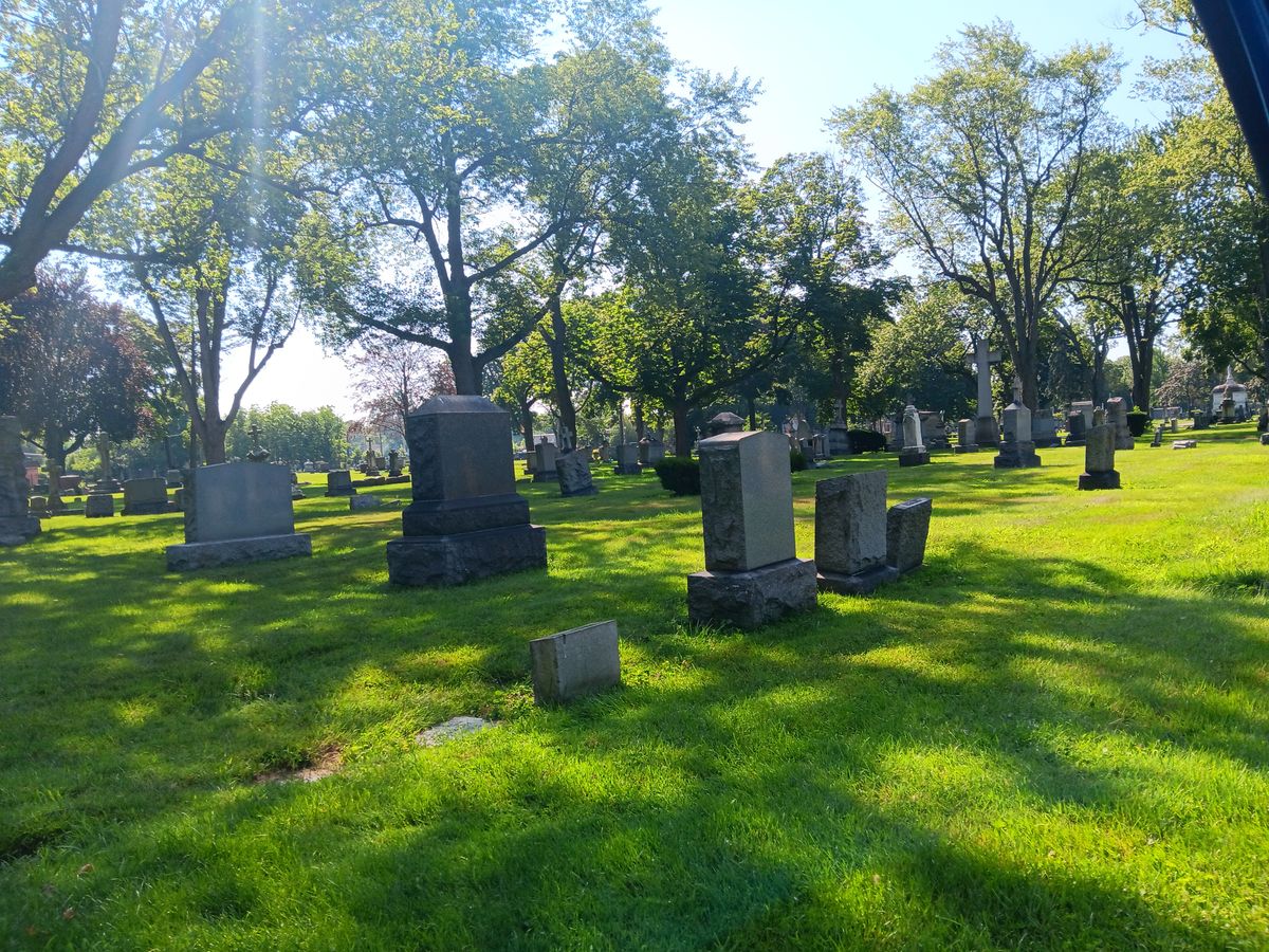 Please consider your dream tonight.